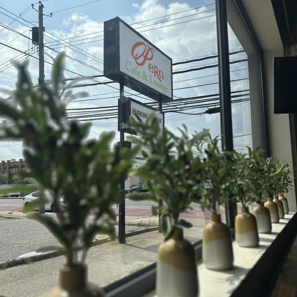 Opera Cafe & Lounge sign visible from inside, with small plants lining the window sill.